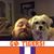 Matt Ross's profile image