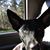 Ray Tyndall's profile image