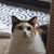 Matthew James Bonds's profile image