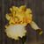 Bernie Hicks Hall's profile image