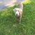 Jack Clasen's profile image