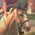 Linda Barnes's profile image