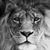 Jen Soukup's profile image