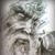 Richard Muse's profile image