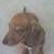 Dalton Reigel's profile image