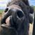 Meagan Karnes's profile image