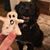 Kaylee Barnhorst's profile image