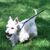 Quincy Rindlisbacher's profile image