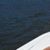 Darlene Wiczer's profile image