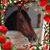 Mariann Deering's profile image