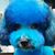 Sylvia Sonnier's profile image