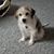 Janie Cranford's profile image
