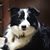 Lisa Ackerman-Masson's profile image