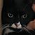 David Krantz's profile image