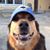 Robert Broadwell's profile image