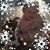 Lynn Wier's profile image