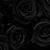 Kassie Flannegan's profile image