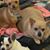 Sherry Flad's profile image
