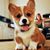 Jennifer Nealson's profile image