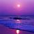 Antoinette Miller-Williams's profile image