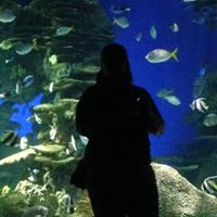 Kara Daniels's profile image