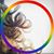 Lisa Guido's profile image