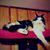 Maria Bustamante's profile image