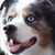 Green Pdx's profile image