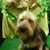 Chris Thomas's profile image