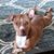 Lori Taylor's profile image