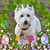 Beverly Windsor Murphy's profile image