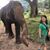 Lori Wilson's profile image