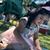 Lorena Nava-Calderon's profile image