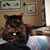 Vm McKenney's profile image