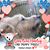 Jessy Lytle's profile image
