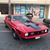 Diego Cancino III's profile image