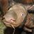 Jeff D Walling's profile image
