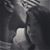 Sara Sorensen's profile image