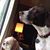 Judy Tacey's profile image