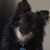 Tena Pottorff's profile image