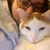 Holly Thede's profile image