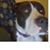 Mark Plante's profile image