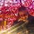 Linda Mathe Schuler's profile image