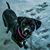Jennifer Schoonmaker's profile image