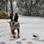 Tina Jean Rickert's profile image