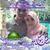 Agung Kurniawan's profile image