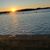 Teri Turnbull's profile image
