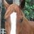 Barbara Folwell's profile image