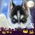 Jose Luis Rodriguez's profile image