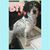 Angeles Ruiz's profile image